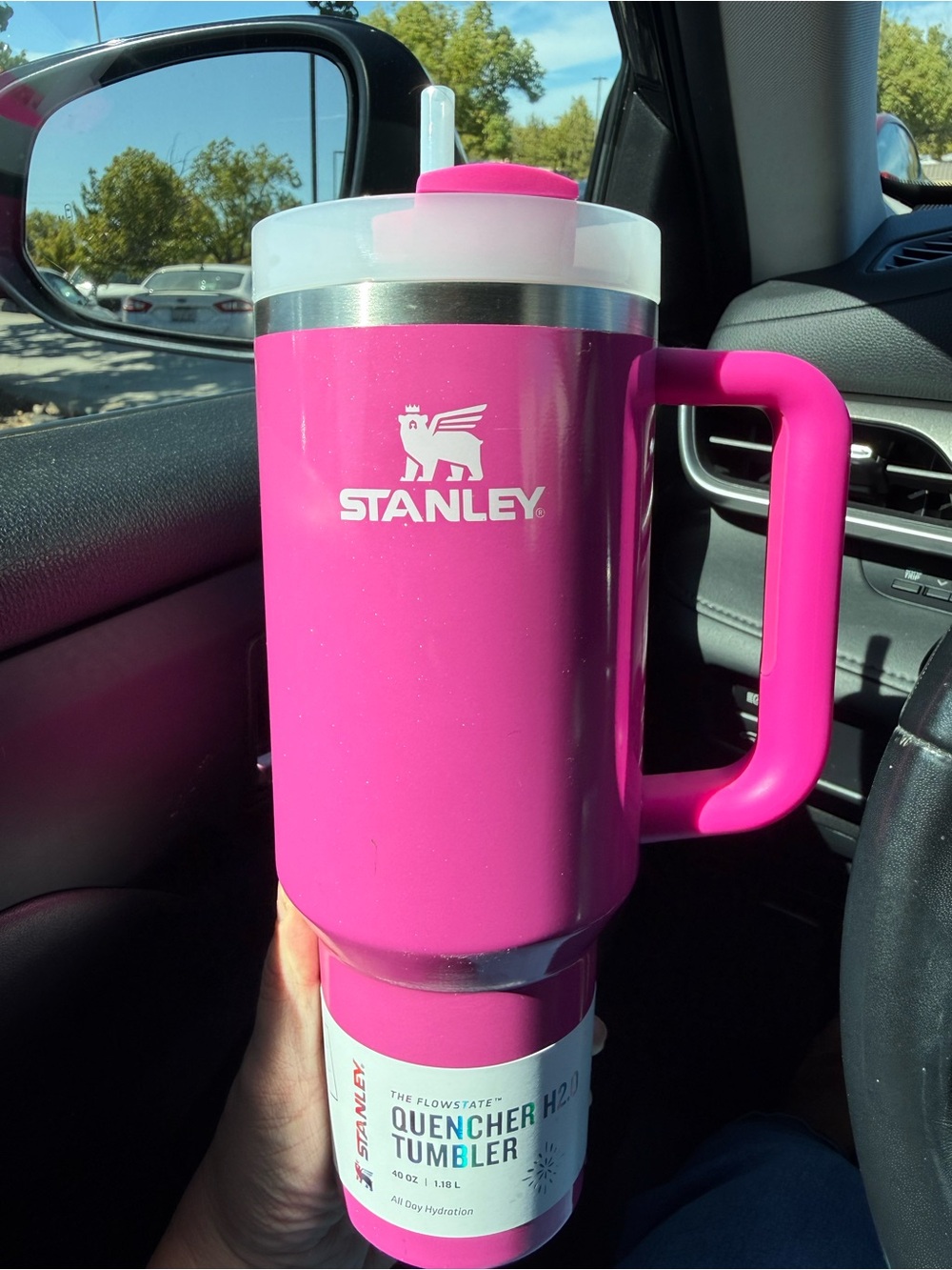 Stanley Glitter Pink 40 oz Insulated Tumbler with Handle